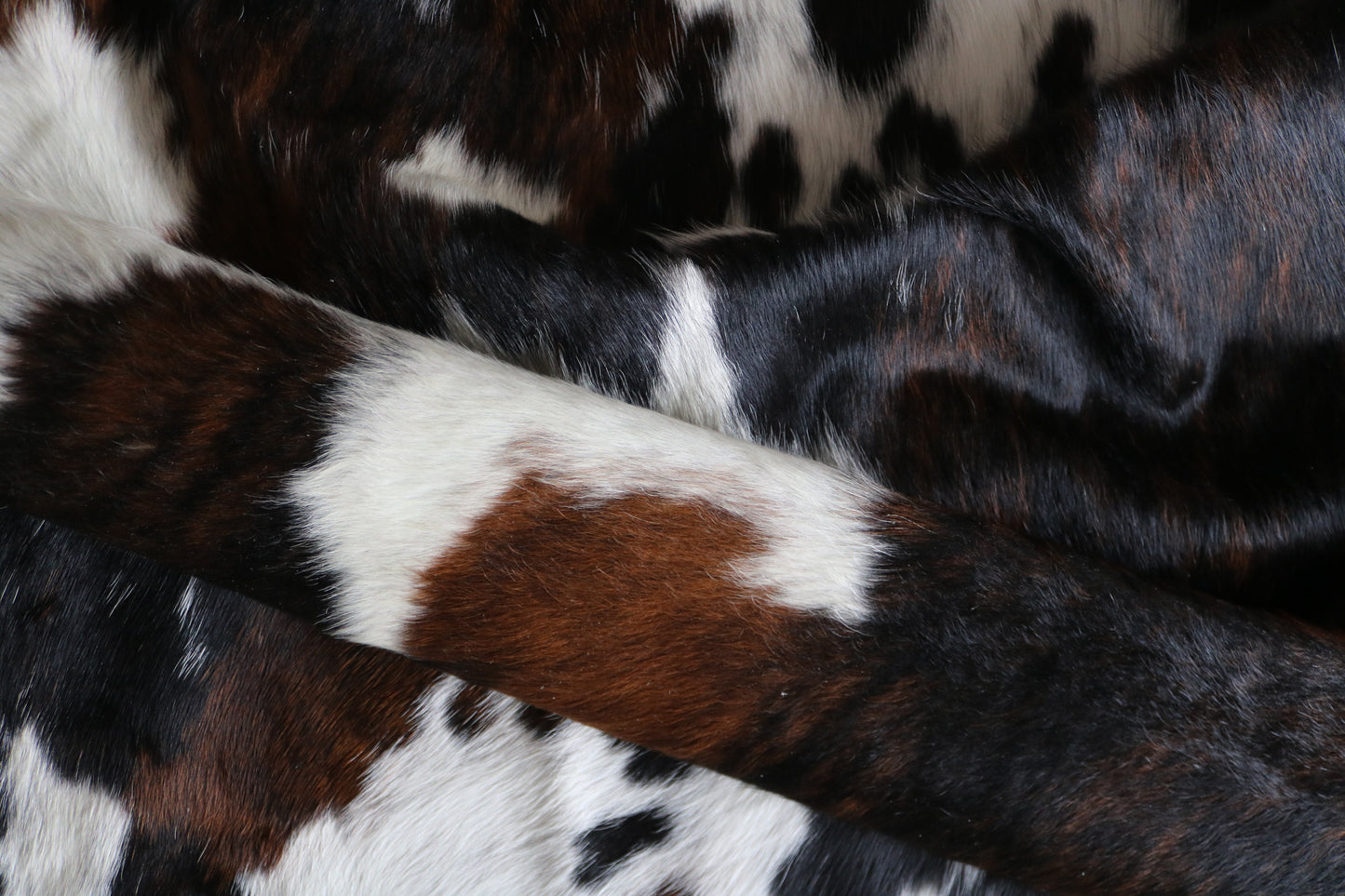 200622 -TRICOLOR  Cowhide Rug - Quebecuir Premium Collection