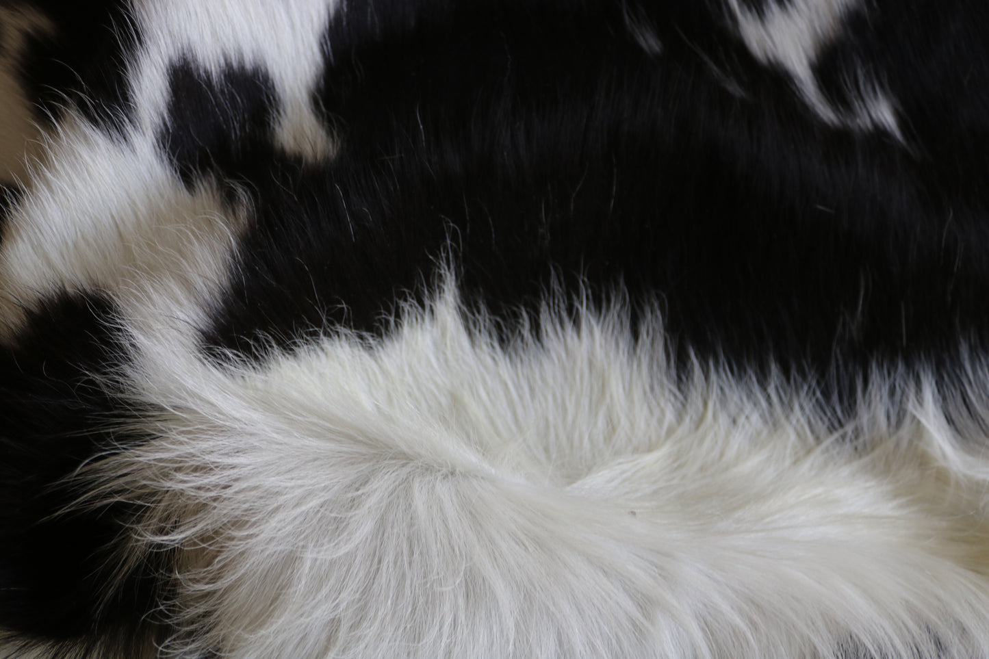 200624 -   Cowhide Rug - Quebecuir Premium Collection