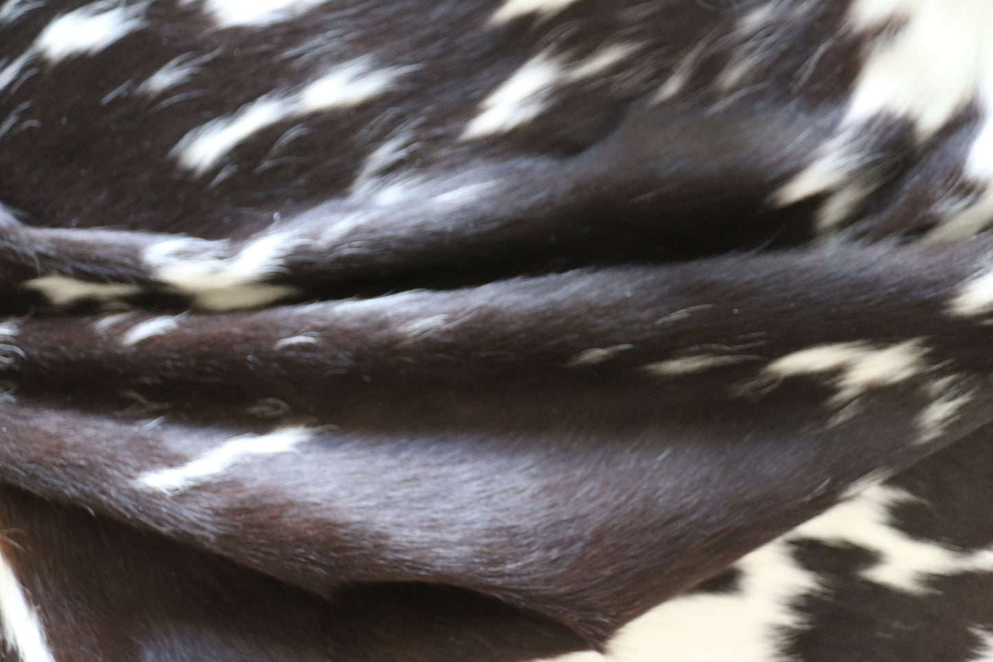 200624 -   Cowhide Rug - Quebecuir Premium Collection