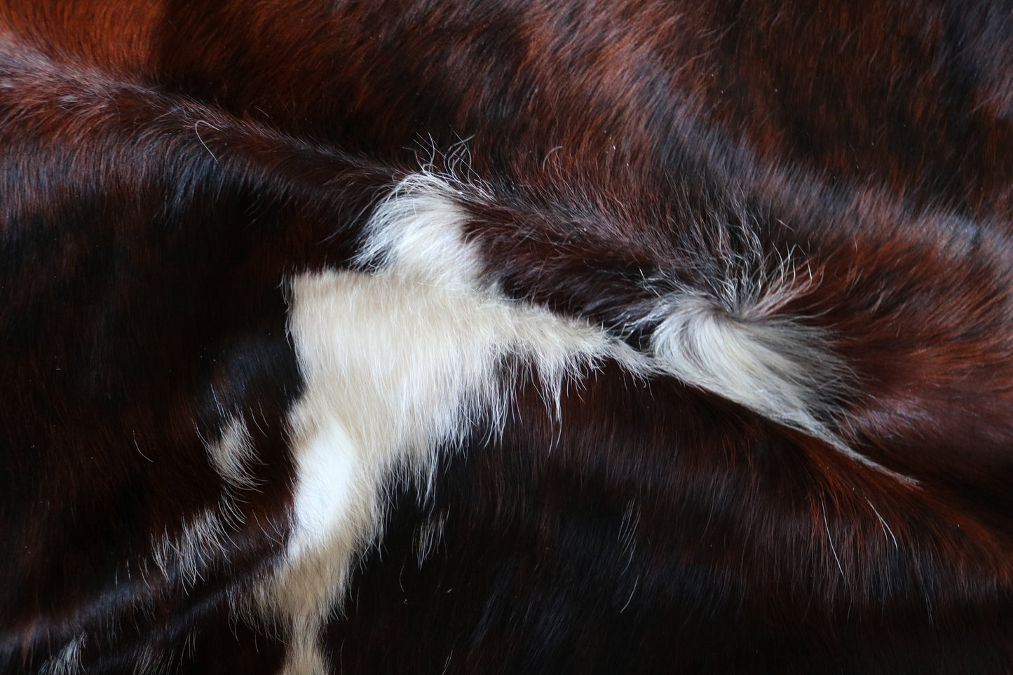 200625 -   Cowhide Rug - Quebecuir Premium Collection