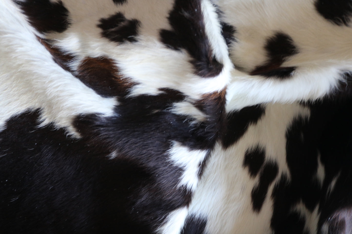 200626 -   Cowhide Rug - Quebecuir Premium Collection