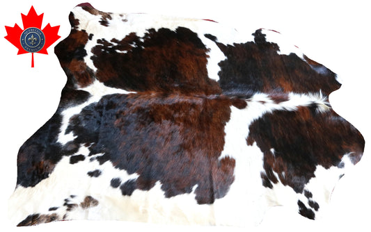 200627-  Tricolor Cowhide Rug - Quebecuir Premium Collection