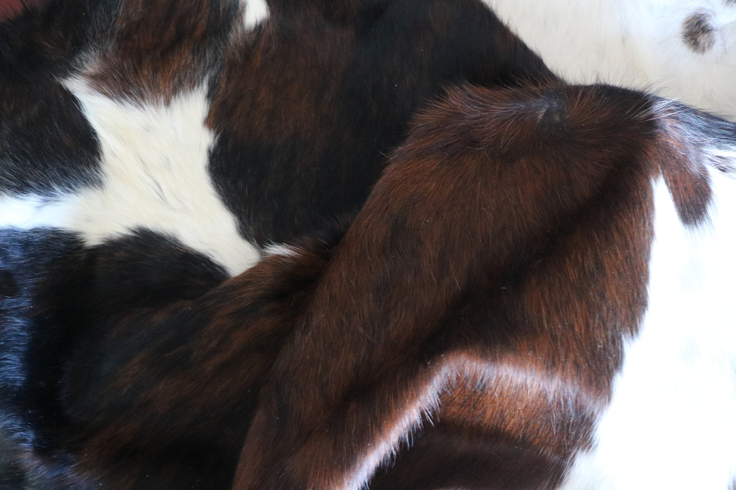 200627 -   Cowhide Rug - Quebecuir Premium Collection