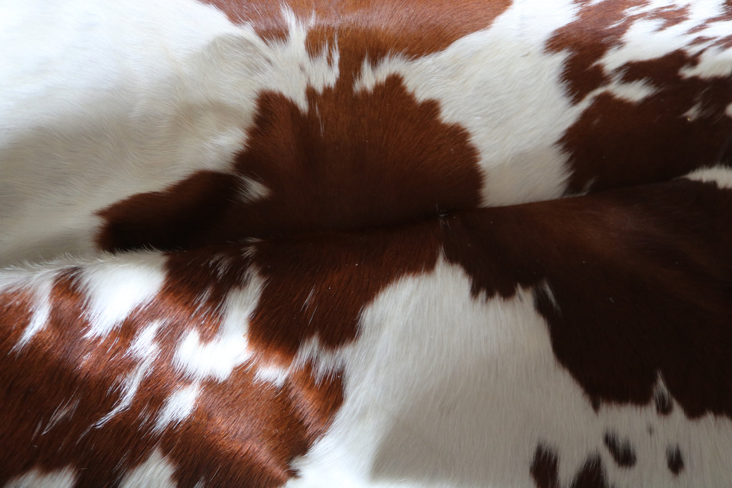 100243-   Cowhide Rug - Quebecuir Premium Collection