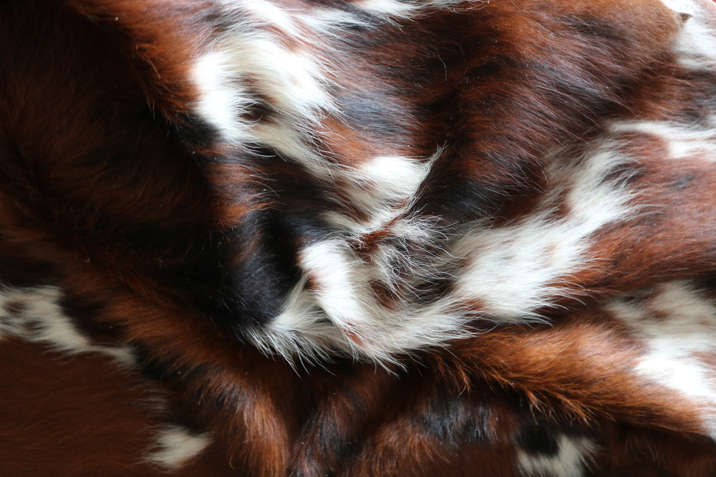 100244-   Cowhide Rug - Quebecuir Premium Collection