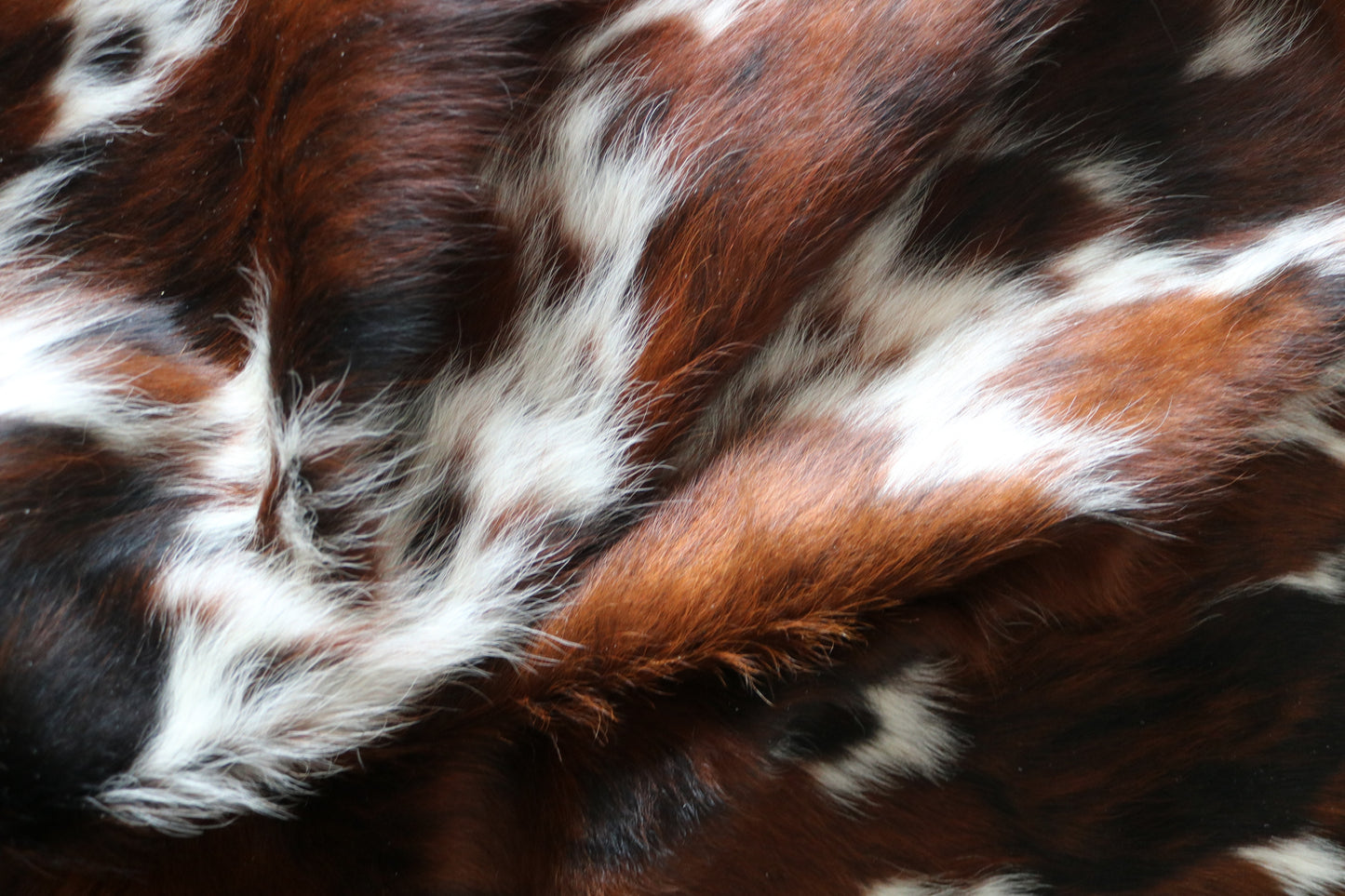 100244-   Cowhide Rug - Quebecuir Premium Collection