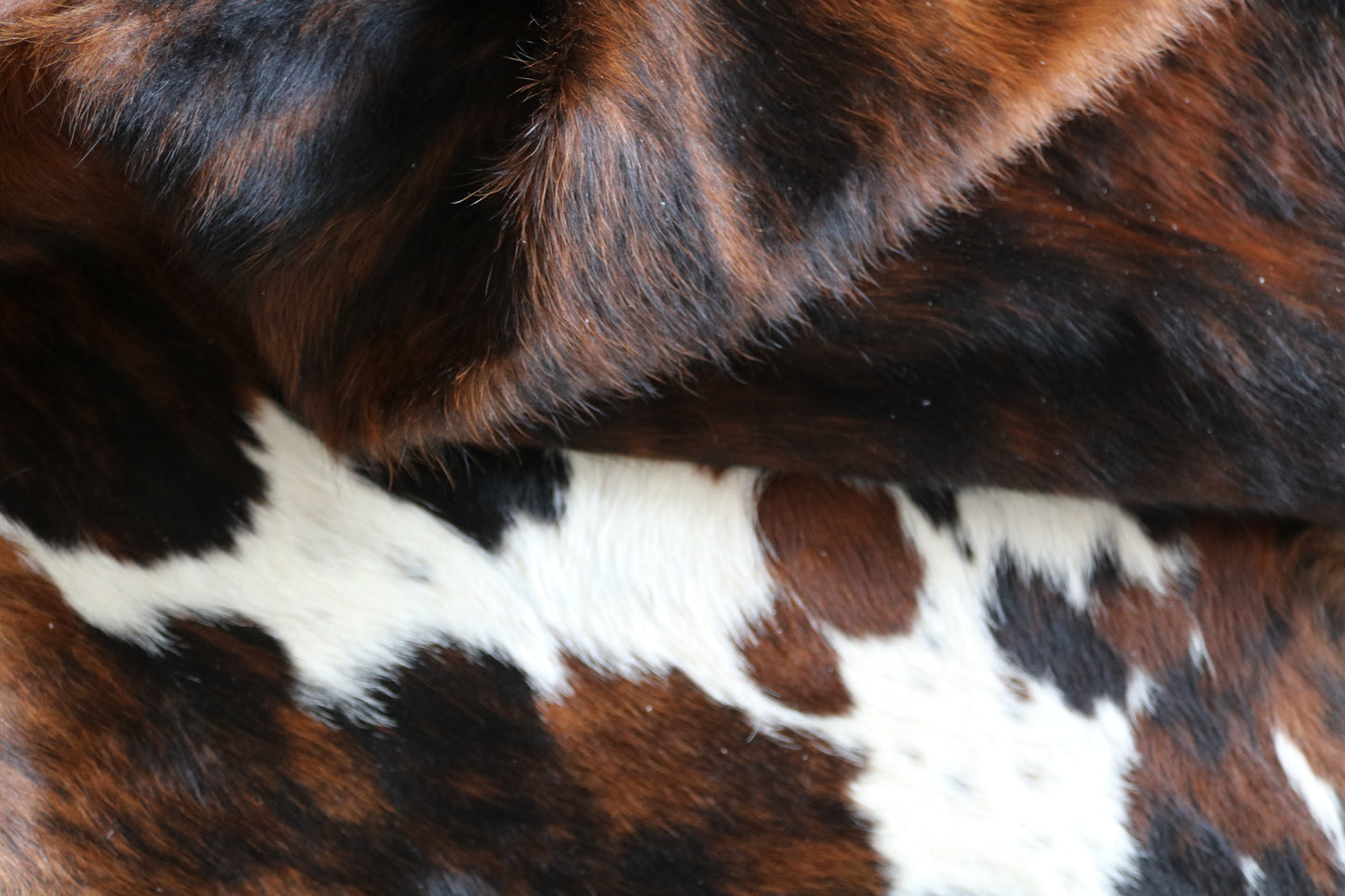 100246-   Cowhide Rug - Quebecuir Premium Collection