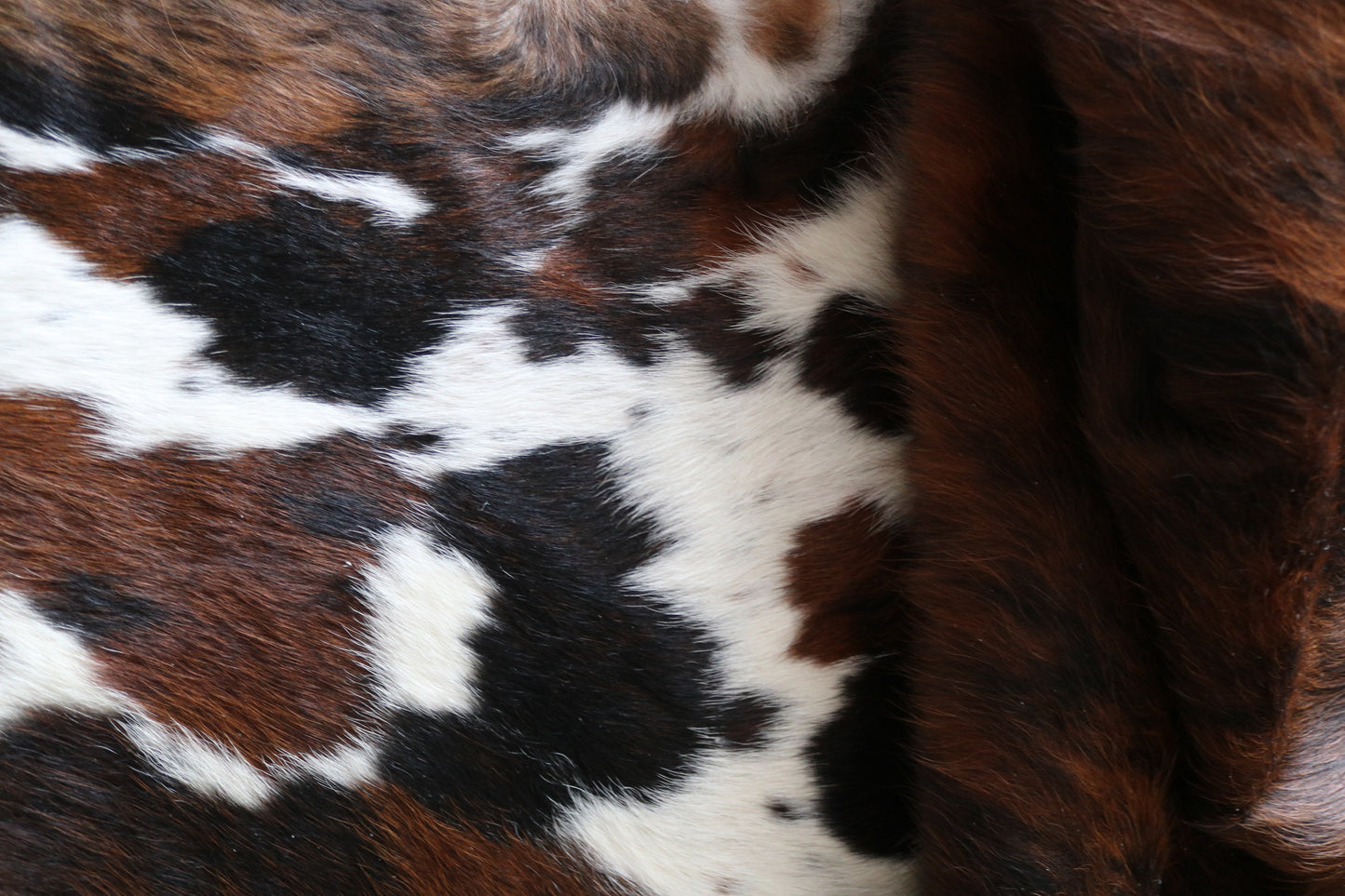 100246-   Cowhide Rug - Quebecuir Premium Collection