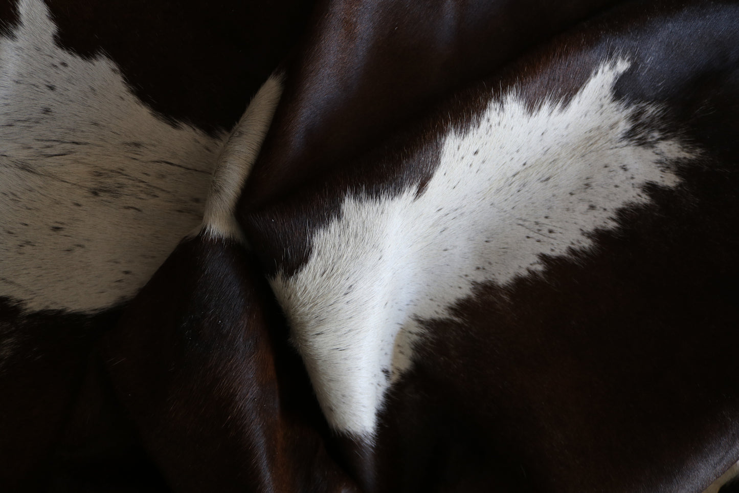 100247- SUPER BIG  SIZE XXXL   Cowhide Rug - Quebecuir Premium Collection