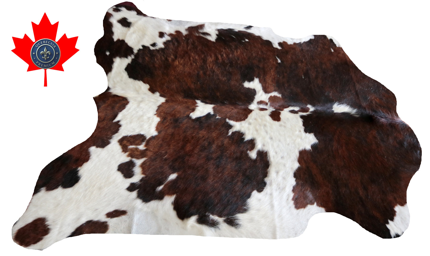 100248 -TRICOLOR  Cowhide Rug - Quebecuir Premium Collection