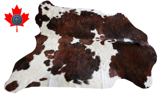 100248 -TRICOLOR  Cowhide Rug - Quebecuir Premium Collection