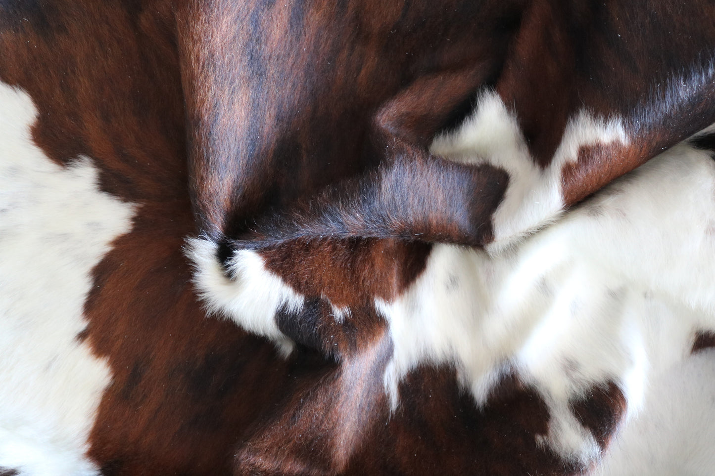 100248 -TRICOLOR  Cowhide Rug - Quebecuir Premium Collection