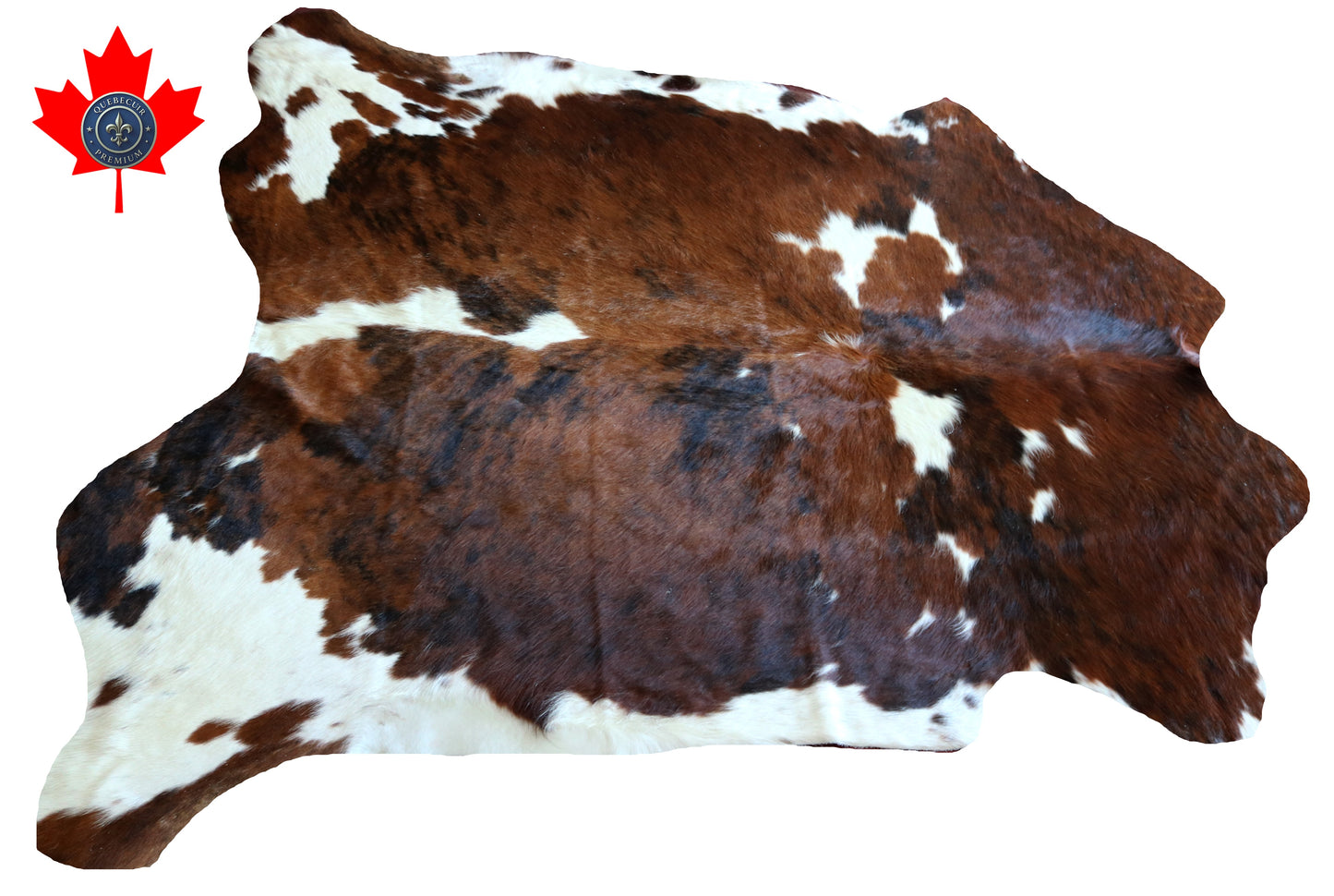 100249 -TRICOLOR  Cowhide Rug - Quebecuir Premium Collection