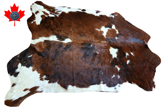 100249 -TRICOLOR  Cowhide Rug - Quebecuir Premium Collection