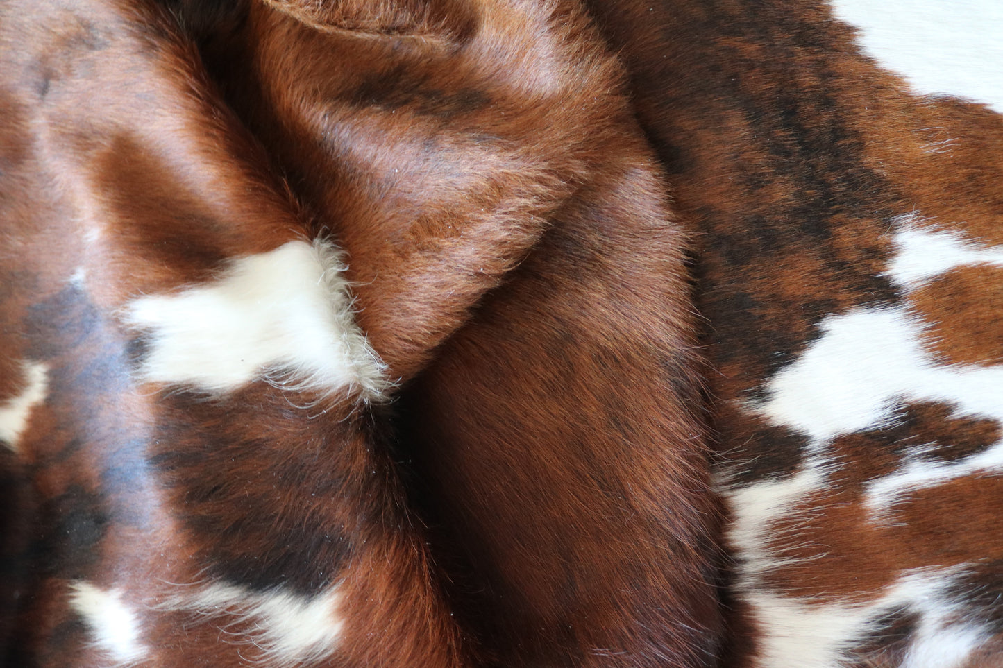 100249 -TRICOLOR  Cowhide Rug - Quebecuir Premium Collection