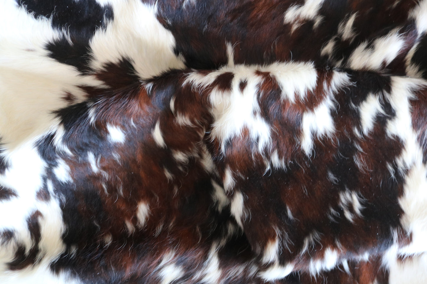 100250 -TRICOLOR  Cowhide Rug - Quebecuir Premium Collection