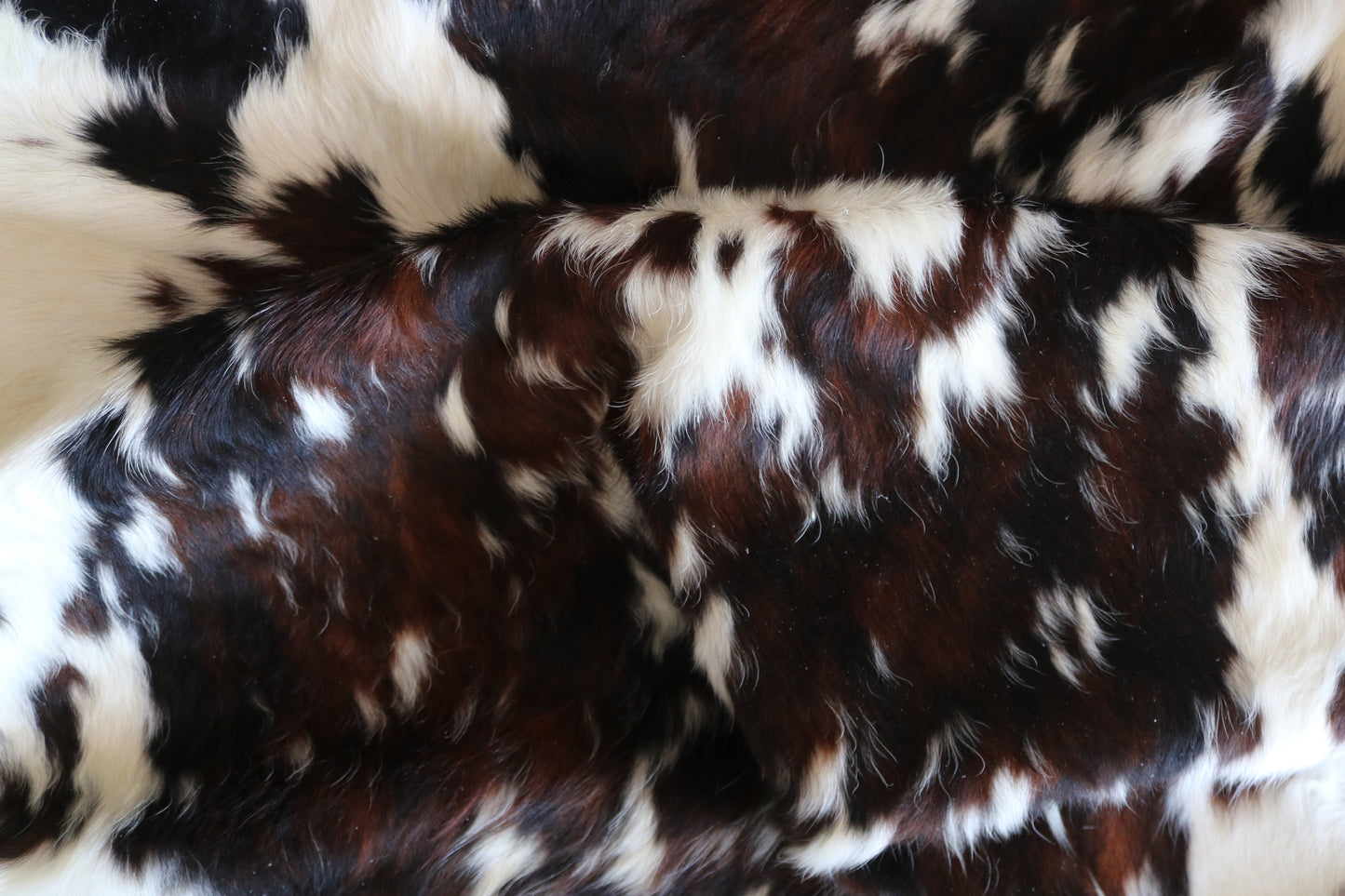 100250 -TRICOLOR  Cowhide Rug - Quebecuir Premium Collection