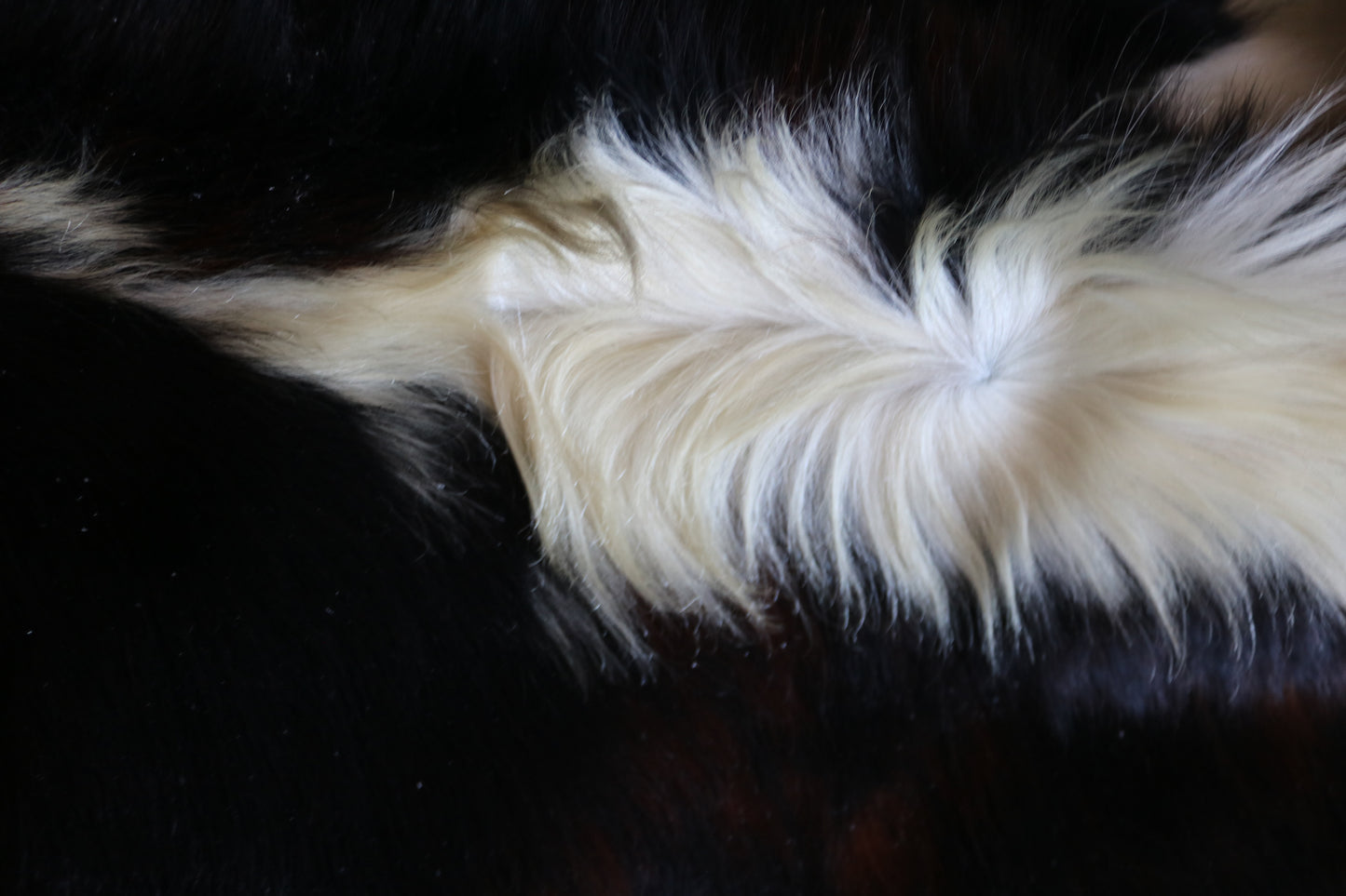 200628 -   Cowhide Rug - Quebecuir Premium Collection