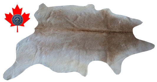 98922- Cowhide Rug Tapis Peau de Vache   -  Collection Quebecuir Premium