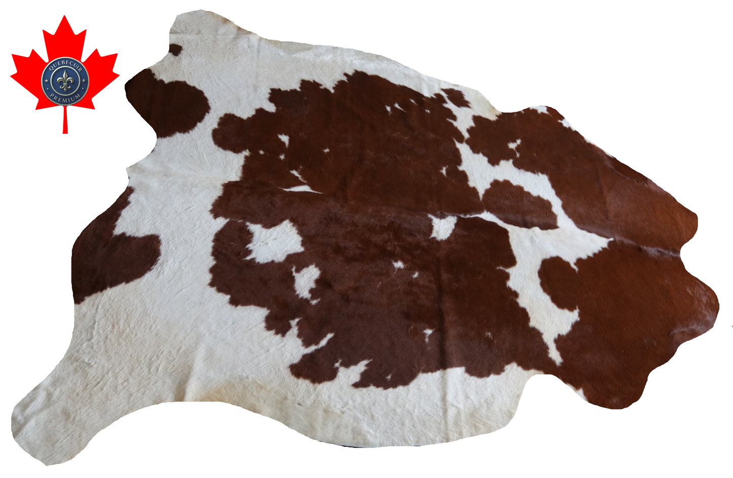 100251 -BROWN & WHITE  Cowhide Rug - Quebecuir Premium Collection