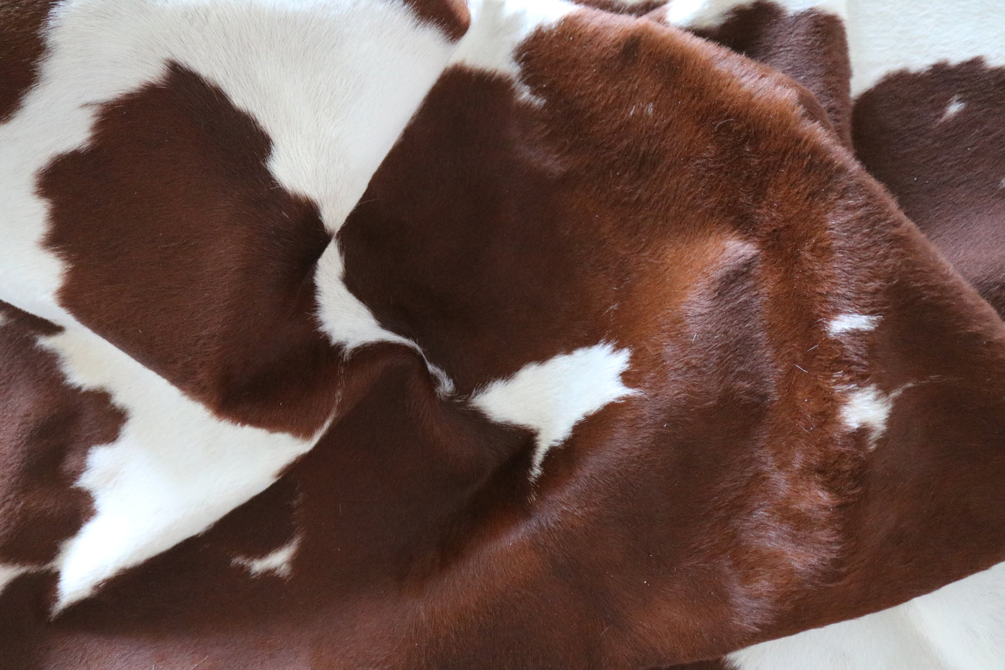 100251 -BROWN & WHITE  Cowhide Rug - Quebecuir Premium Collection