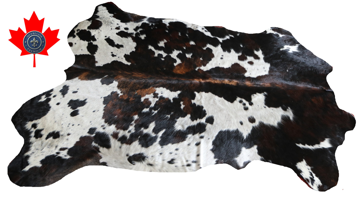 100252 - TRICOLOR   Cowhide Rug - Quebecuir Premium Collection