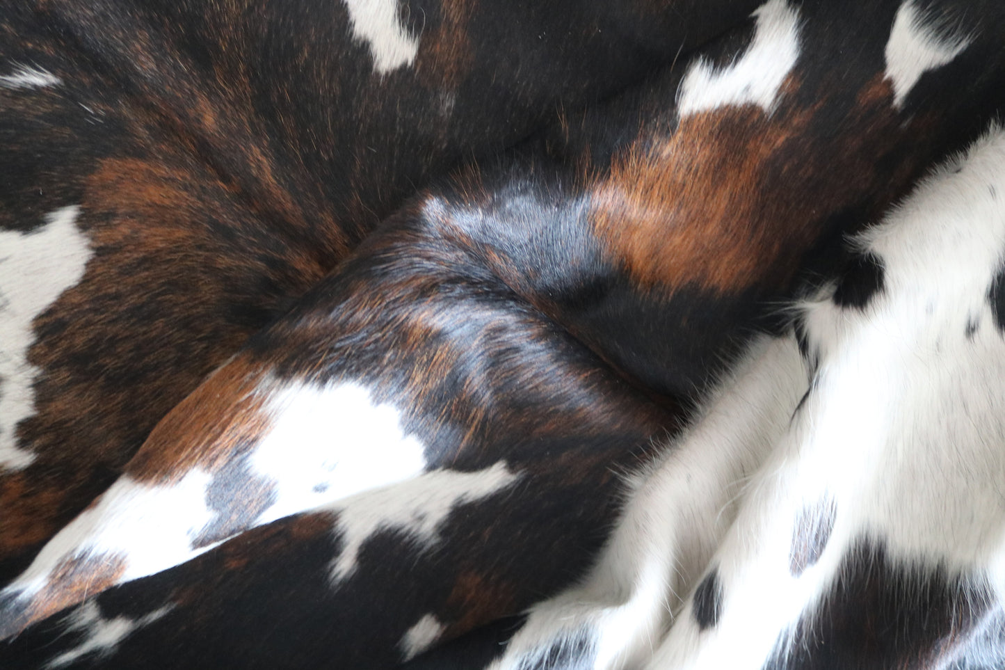 100252 - TRICOLOR   Cowhide Rug - Quebecuir Premium Collection