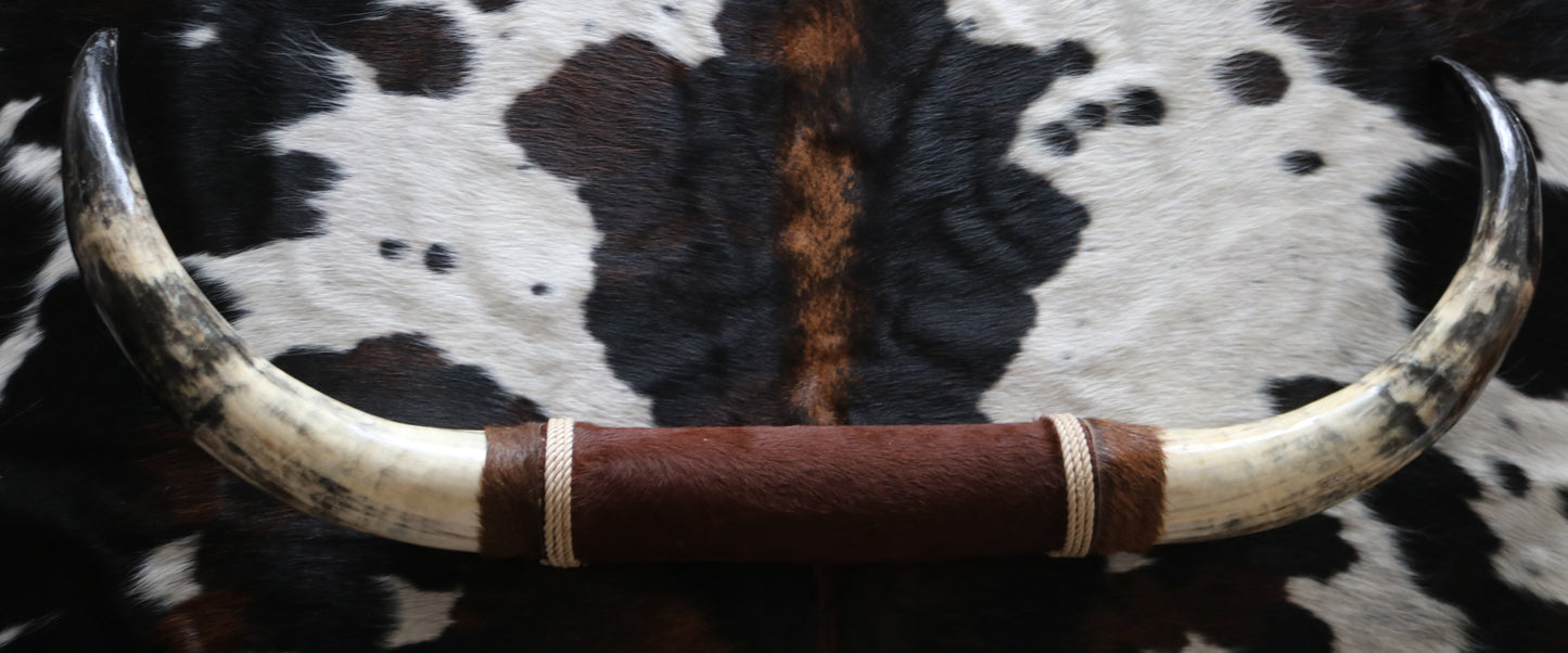 100253 Horns Cornes Collection Quebecuir Premium