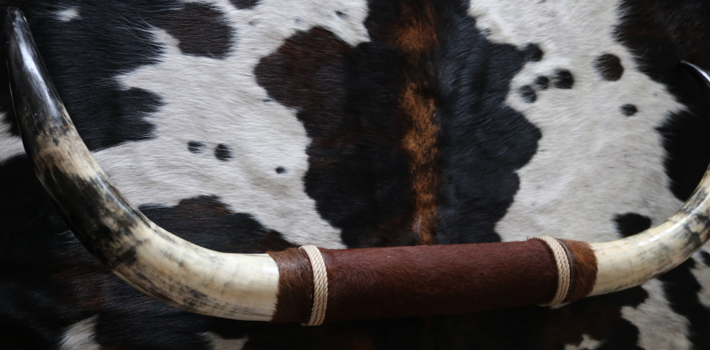 100253 Horns Cornes Collection Quebecuir Premium