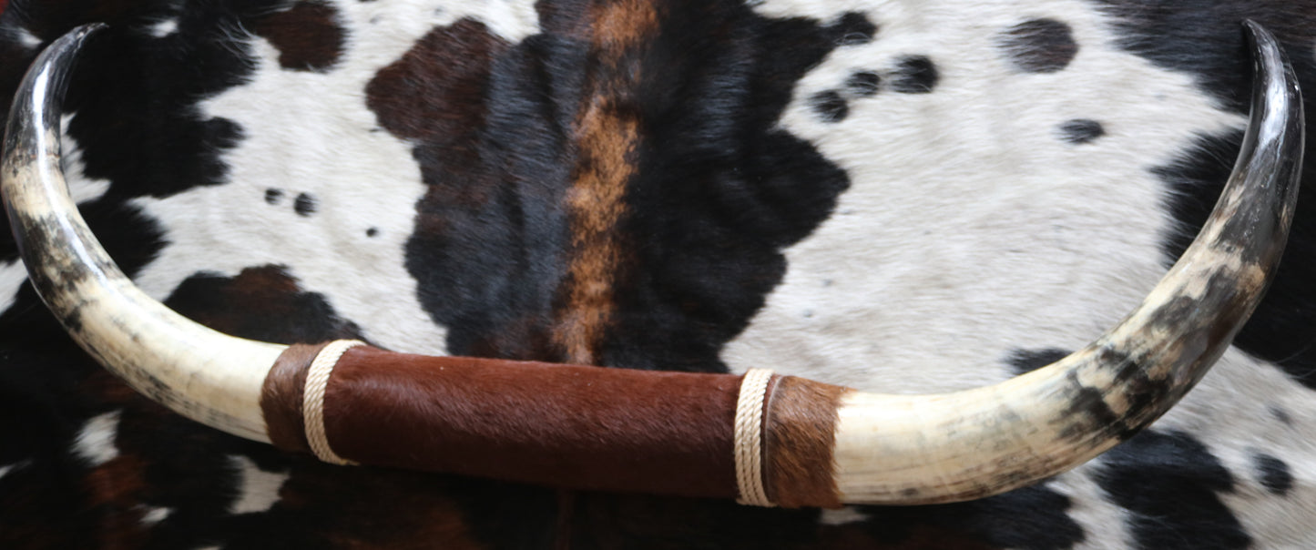 100253 Horns Cornes Collection Quebecuir Premium