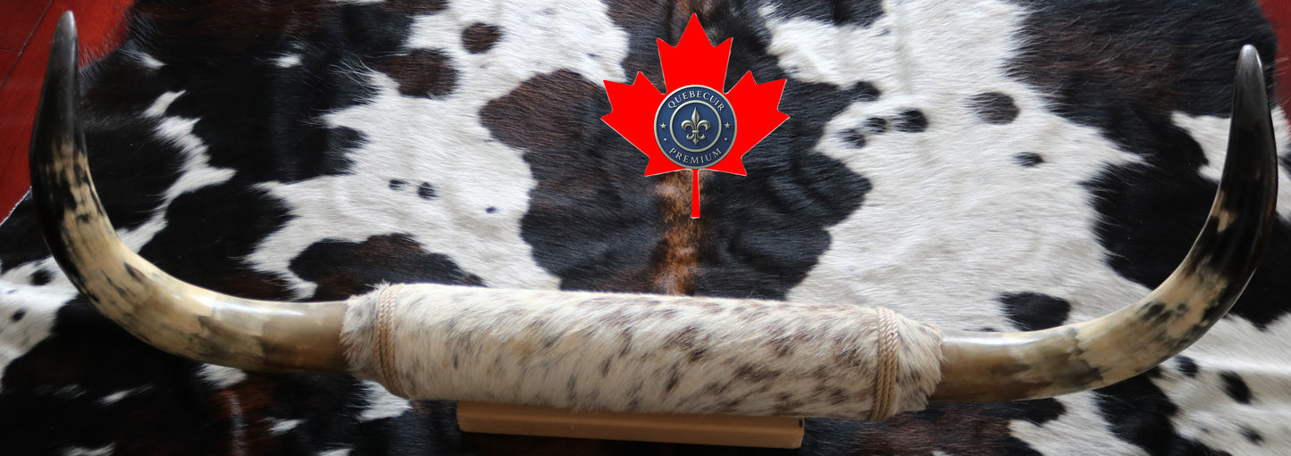 100254 Horns Cornes Collection Quebecuir Premium