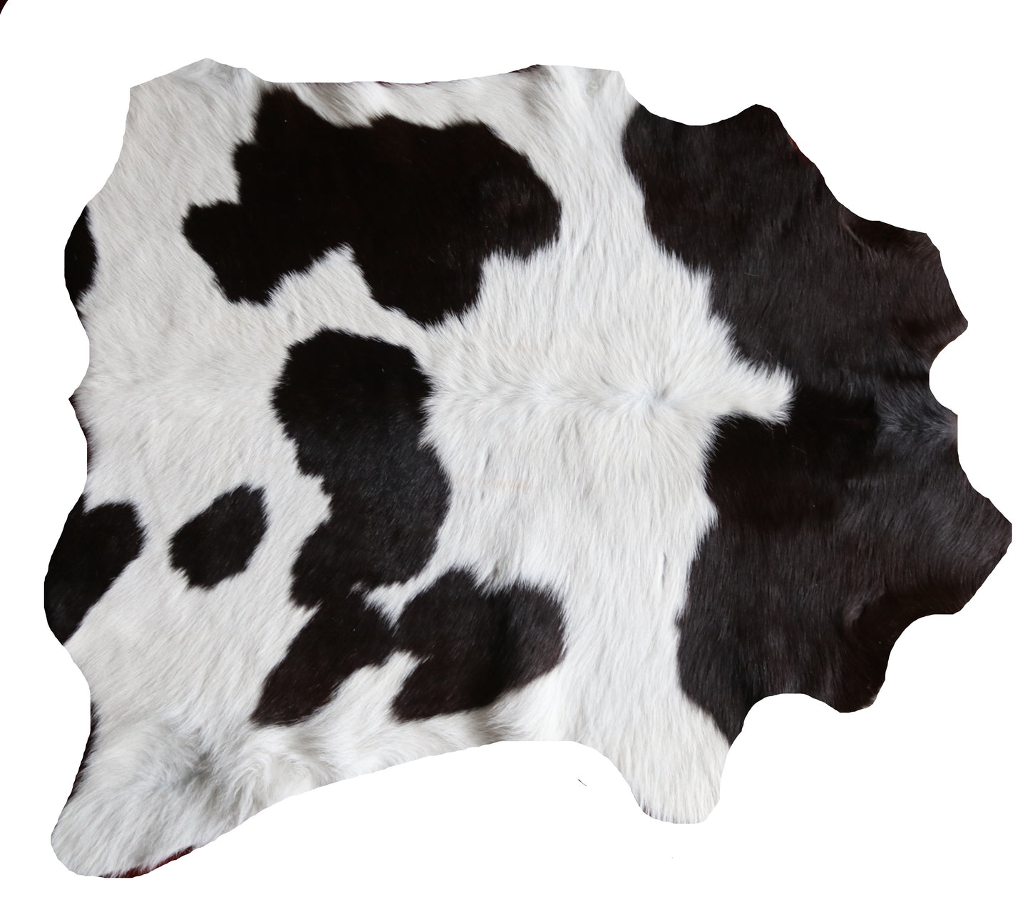 100256 Calfskin Tapis peau de veau   Collection Quebecuir Premium