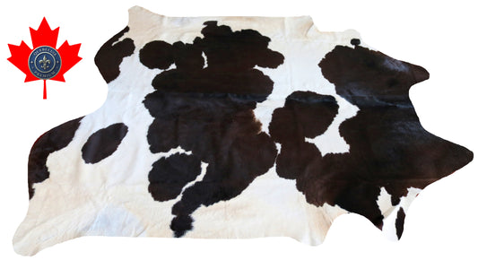 98941- Cowhide Rug Tapis Peau de Vache  SUPER BIG SIZE XXXL -  Collection Quebecuir Premium