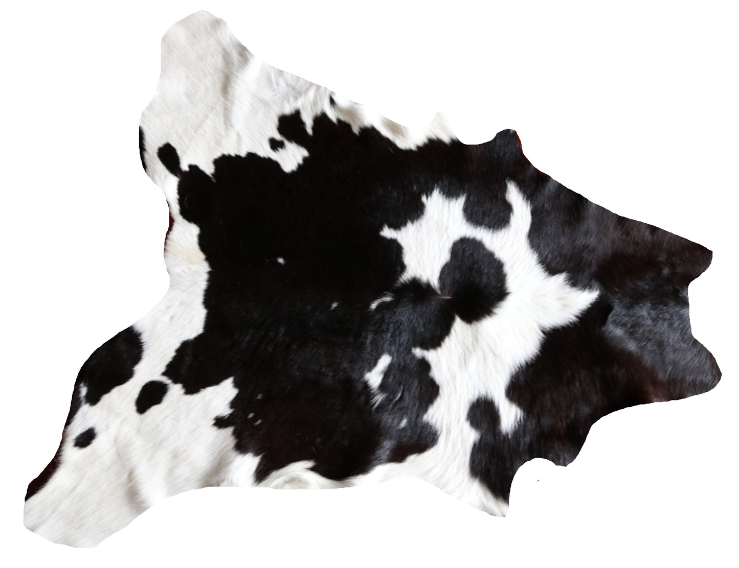 100257 Calfskin Tapis peau de veau   Collection Quebecuir Premium