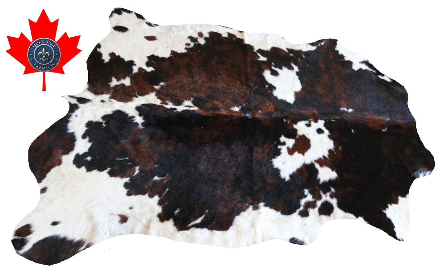 100259 -TRICOLOR  Cowhide Rug - Quebecuir Premium Collection