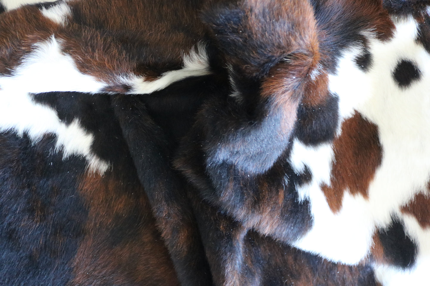 100259 -TRICOLOR  Cowhide Rug - Quebecuir Premium Collection