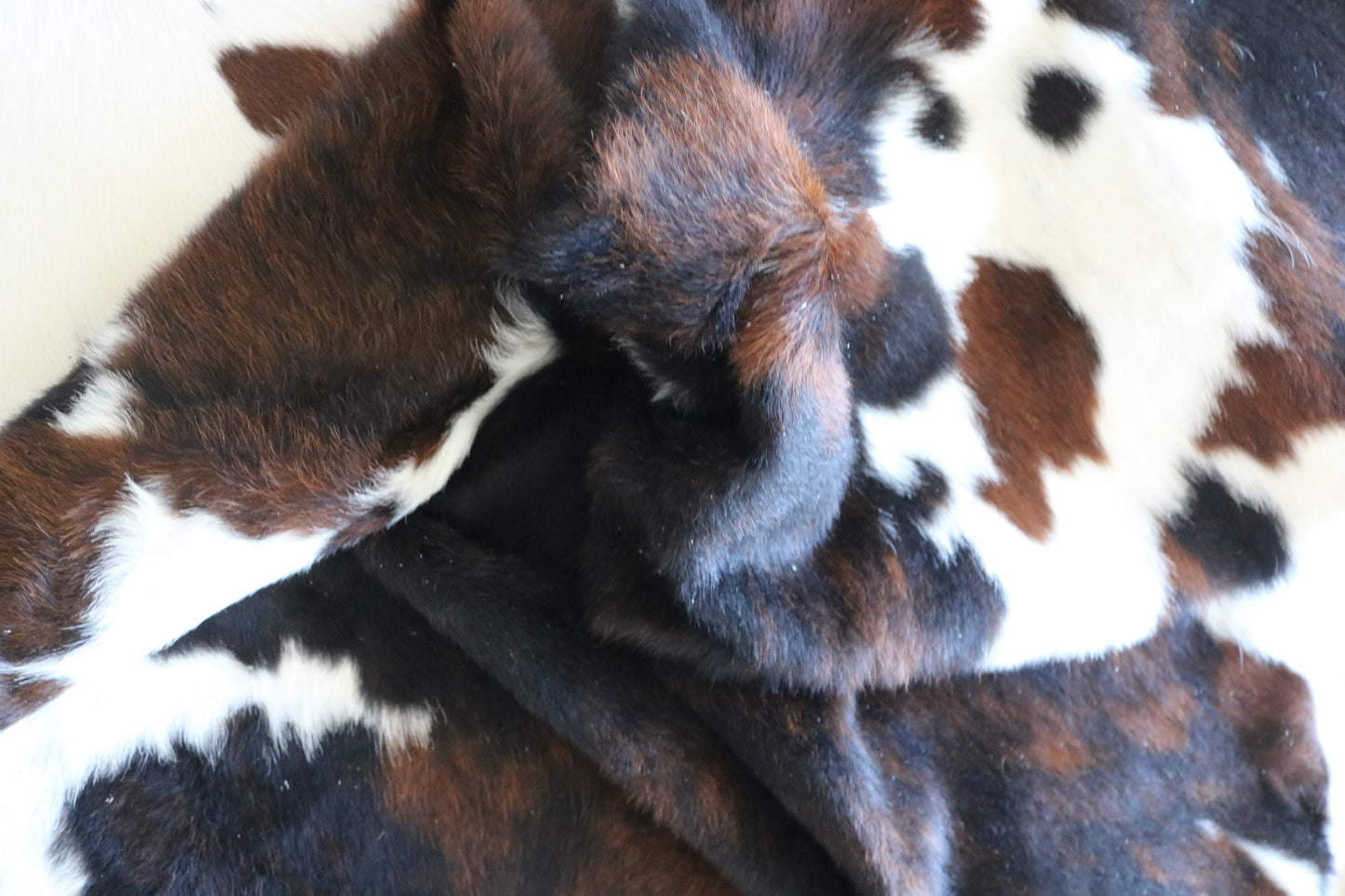100259 -TRICOLOR  Cowhide Rug - Quebecuir Premium Collection