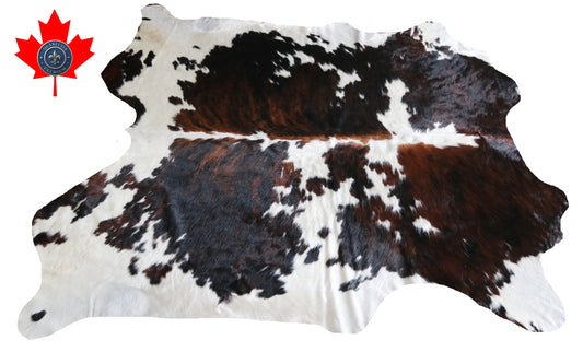 100260 -TRICOLOR  Cowhide Rug - Quebecuir Premium Collection