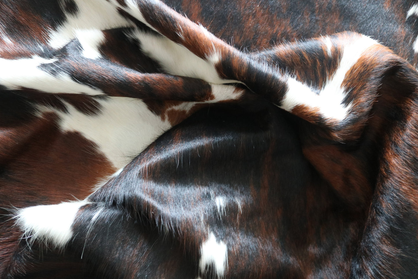 100260 -TRICOLOR  Cowhide Rug - Quebecuir Premium Collection