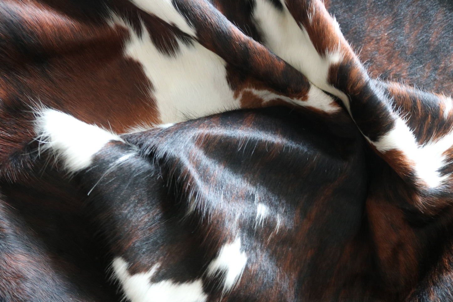 100260 -TRICOLOR  Cowhide Rug - Quebecuir Premium Collection