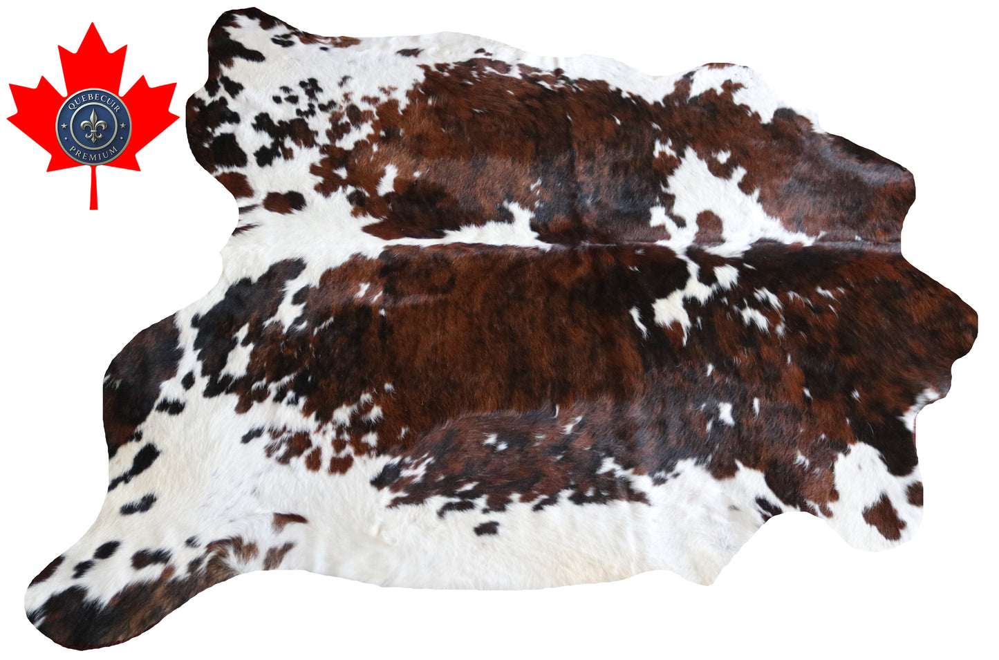 100261 -TRICOLOR  Cowhide Rug - Quebecuir Premium Collection