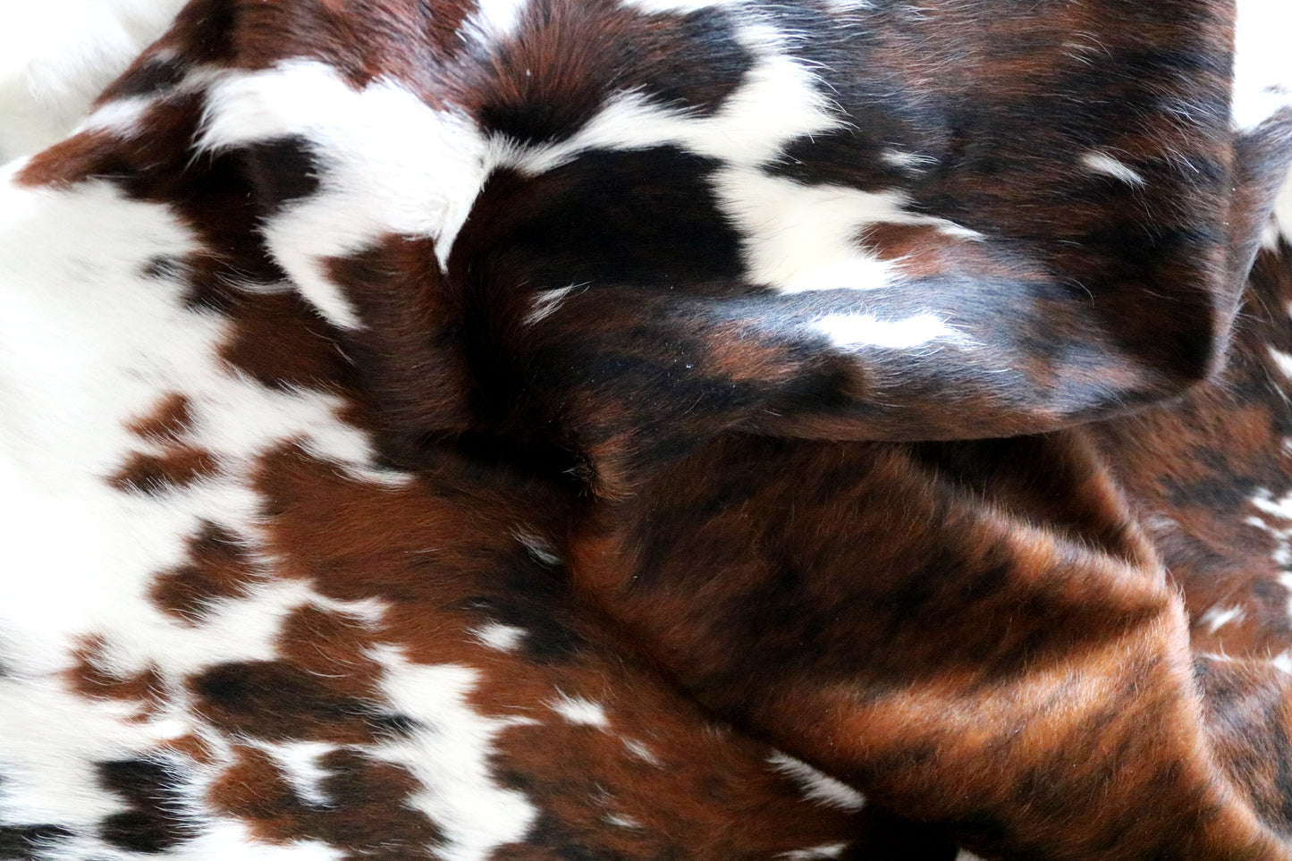 100261 -TRICOLOR  Cowhide Rug - Quebecuir Premium Collection