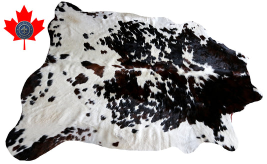 100267 -TRICOLOR  Cowhide Rug - Quebecuir Premium Collection
