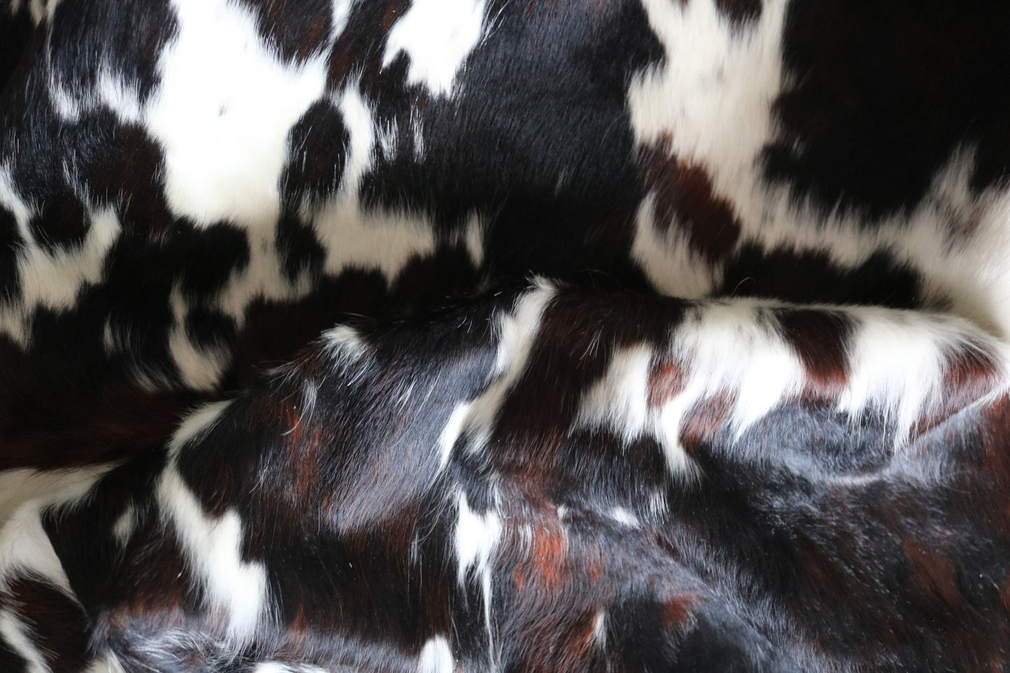 100267 -TRICOLOR  Cowhide Rug - Quebecuir Premium Collection