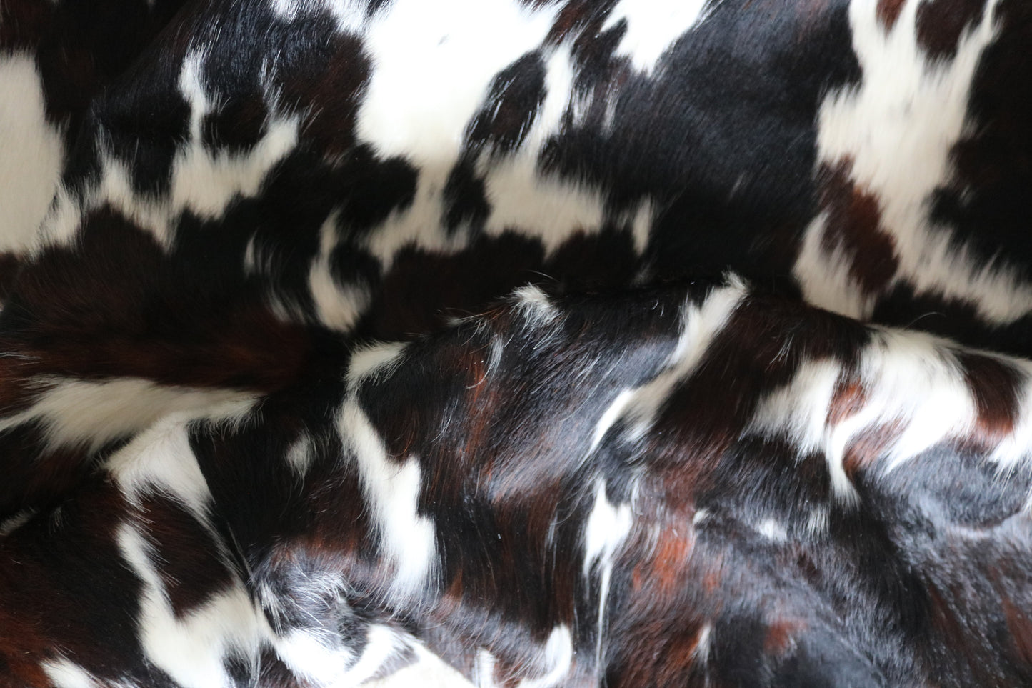 100267 -TRICOLOR  Cowhide Rug - Quebecuir Premium Collection