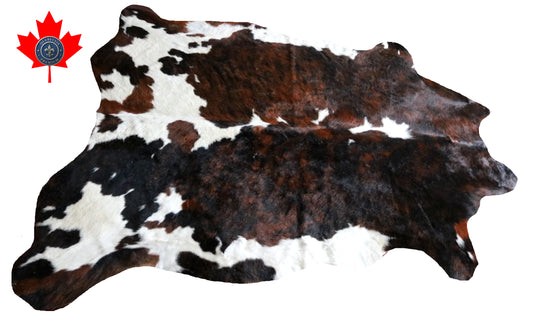 100268 -TRICOLOR  Cowhide Rug - Quebecuir Premium Collection