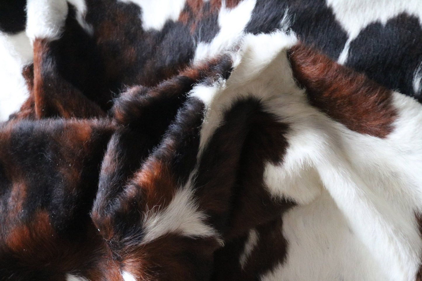 100268 -TRICOLOR  Cowhide Rug - Quebecuir Premium Collection