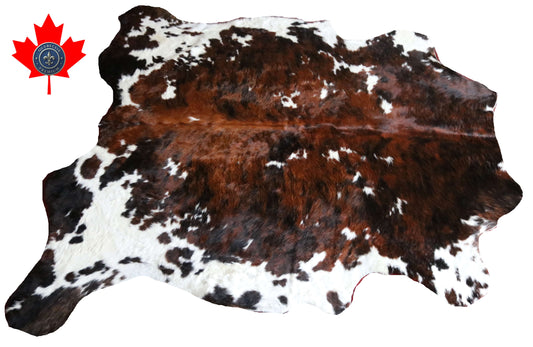 100269-TRICOLOR  Cowhide Rug - Quebecuir Premium Collection