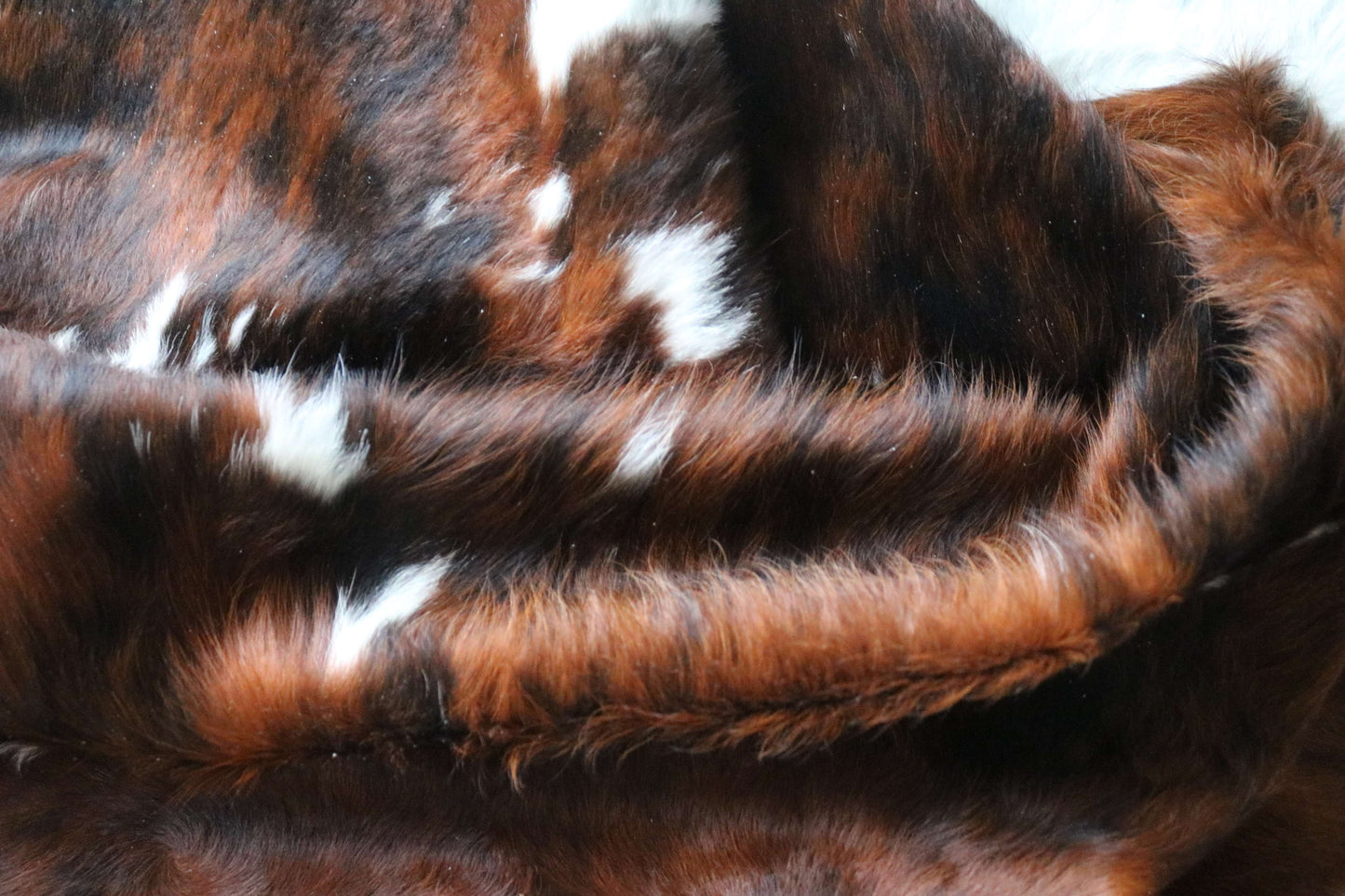 100269-TRICOLOR  Cowhide Rug - Quebecuir Premium Collection
