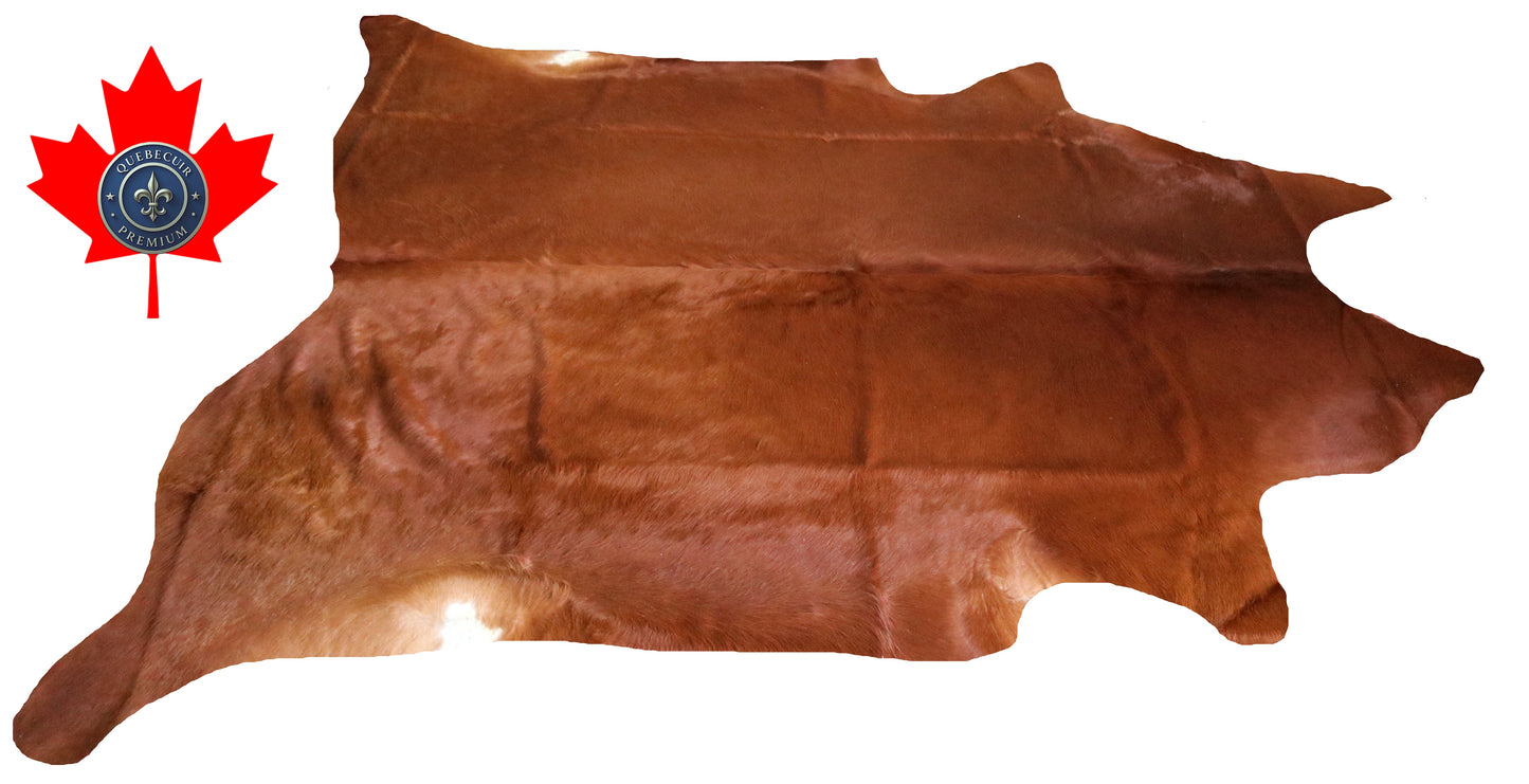 98961- Cowhide Rug Tapis Peau de Vache SUPER BIG SIZE XXXL - Collection Quebecuir Premium
